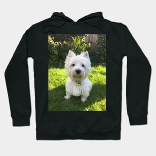 Westie Hoodie